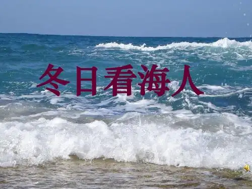 冬日看海人