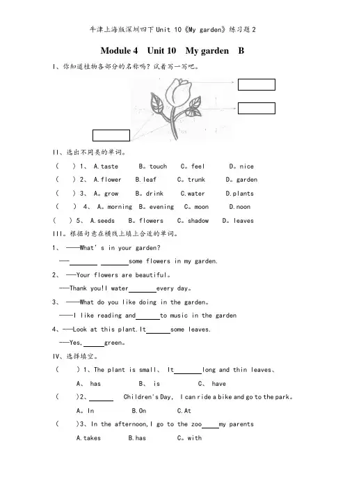 牛津上海版深圳四下Unit 10《My garden》练习题2