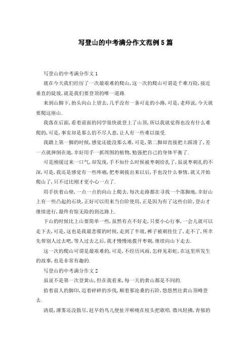 写登山的中考满分作文范例5篇