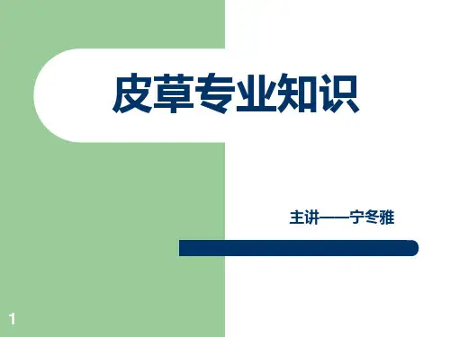 皮草羊绒羽绒服专业知识PPT课件