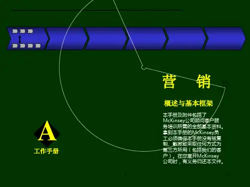 005某咨询某咨询营销咨询手册同城考研网(1)