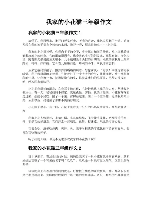 我家的小花猫三年级作文