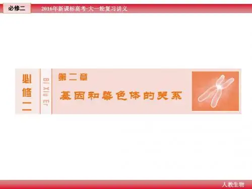 一轮复习 人教版必修2 第2章 第3节-伴性遗传