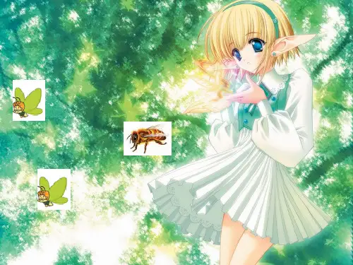 高三英语unit14 课件.ppt