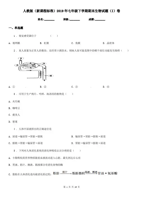 人教版(新课程标准)2019年七年级下学期期末生物试题(I)卷(模拟)