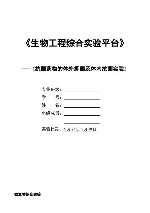 抗菌药物的体外抑菌及体内抗菌实验