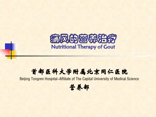 痛风的营养治疗PPT课件