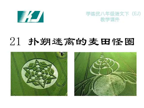 21.扑朔迷离的麦田怪圈精编课件