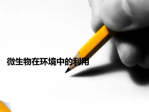 微生物在环境中的利用