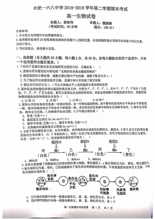安徽省合肥市一六八中学2018_2019学年高一生物下学期期末考试试题
