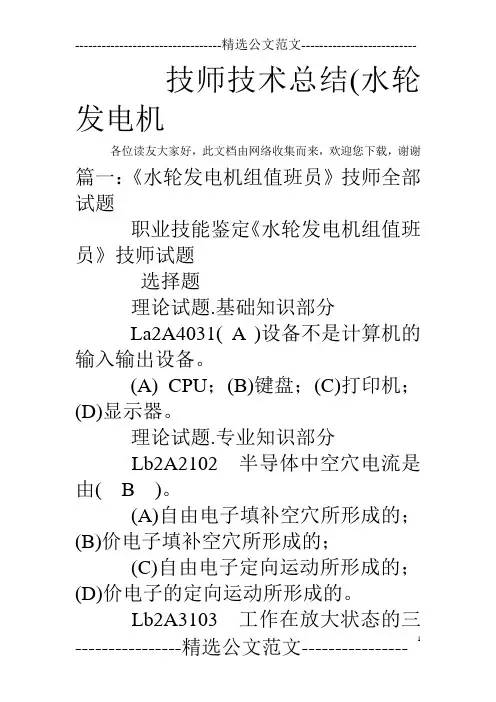 技师技术总结(水轮发电机