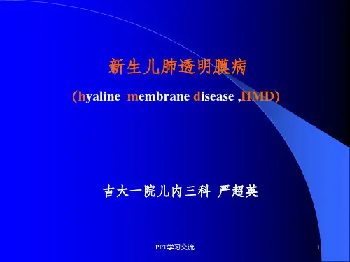 新生儿肺透明膜病课件