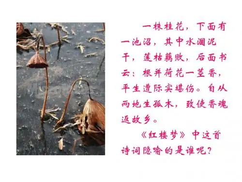 20 ﹡香菱学诗