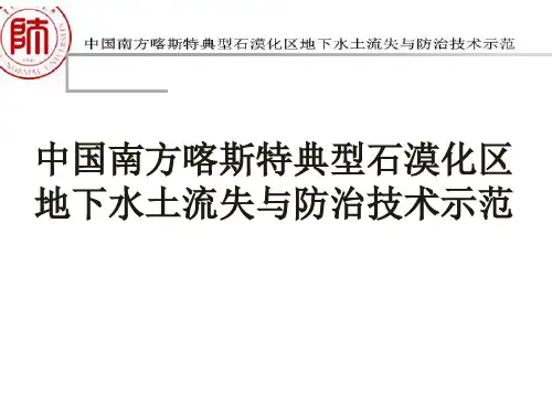 中国南方喀斯特典型石漠化区地下水土流失与防治技术示范