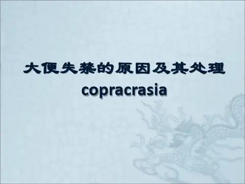 (医学课件)大便失禁的原因及其处理PPT演示课件