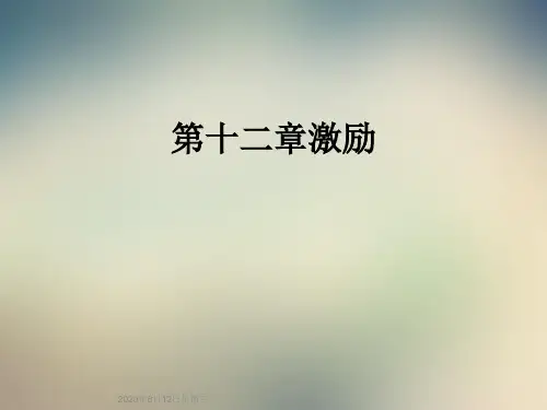 第十二章激励