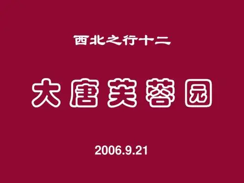 D5809__大唐芙蓉园