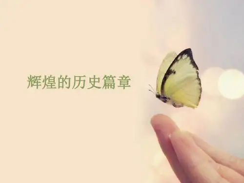 辉煌的历史篇章