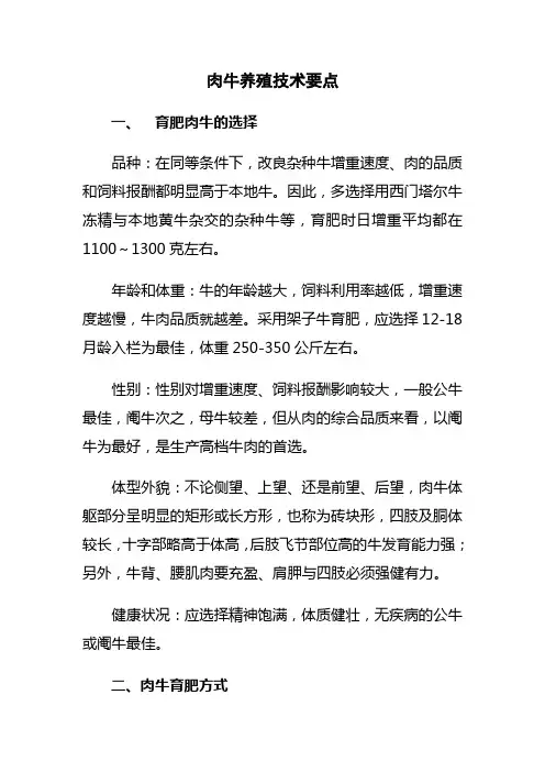 肉牛养殖技术要点