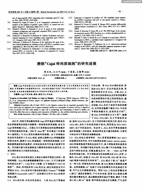 膀胱“Cajal样间质细胞”的研究进展