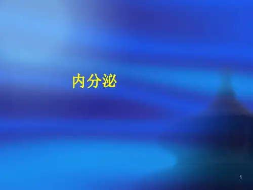 人体解剖学内分泌ppt课件
