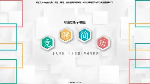 漂亮-联通竞聘ppt模板