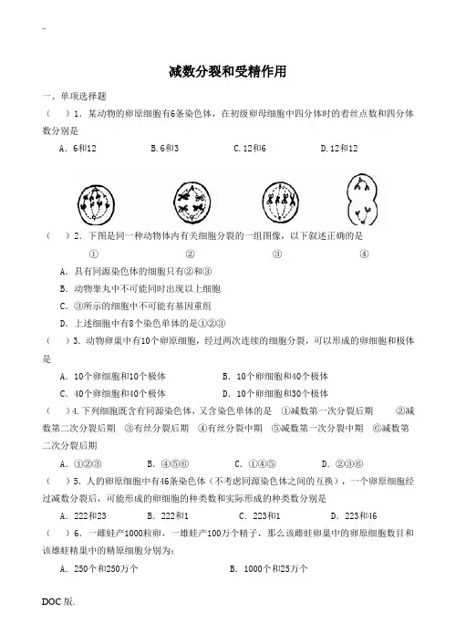 高中生物减数分裂和受精作用 同步练习(1)人教版必修二