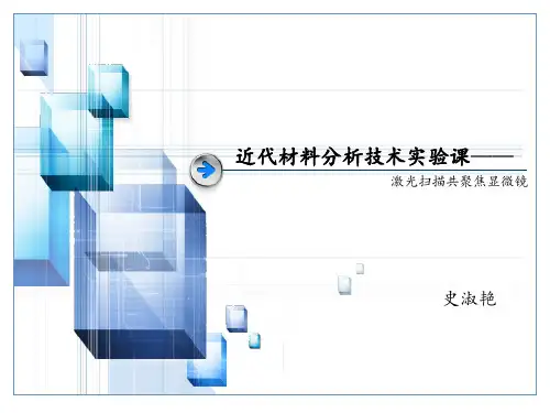 激光共聚焦显微镜