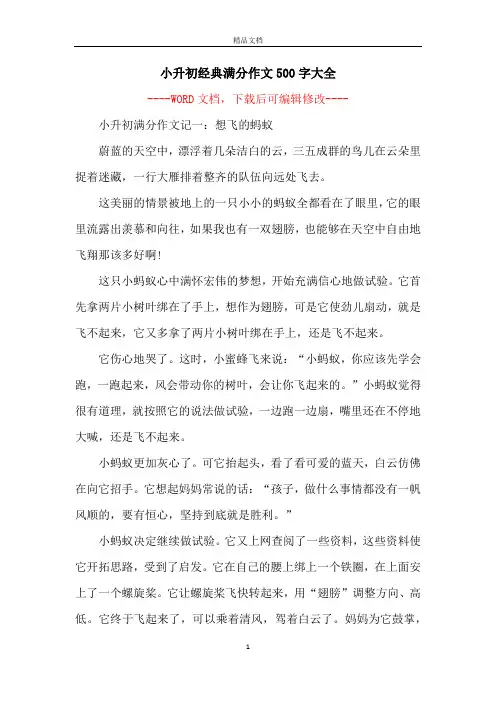小升初经典满分作文500字大全