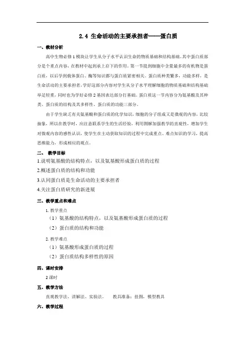 高中生物人教版(2019)必修一教案2.4 蛋白质生命活动的主要承担者