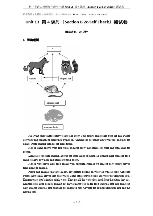 初中英语人教版九年级全一册 Unit 13 第4课时(Section B 2c-Self Check