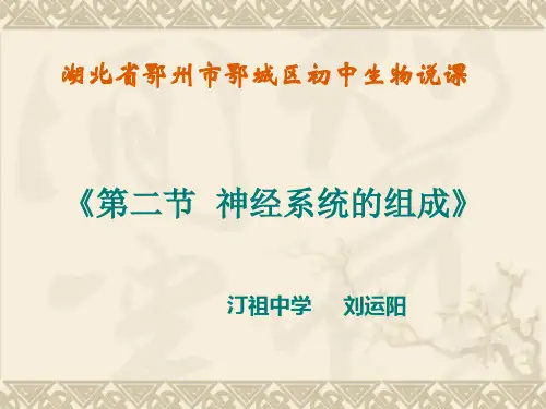 神经系统的组成课后说课课件