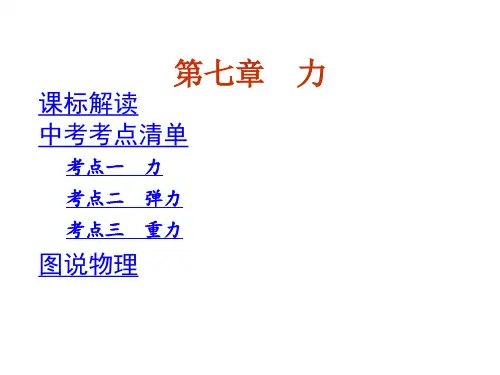 2014年人教版中考物理复习7.第七章  力