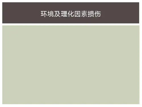 环境及理化因素损伤(PPT55页)