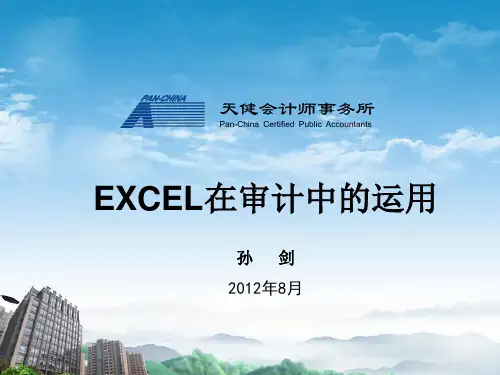 EXCEL在审计中的运用