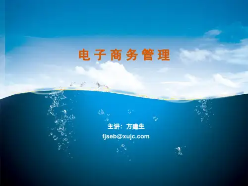 电子商务管理--电子商务管理组织与管理体制--嘉庚学院