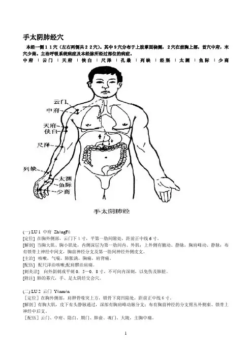 十二经络穴位图