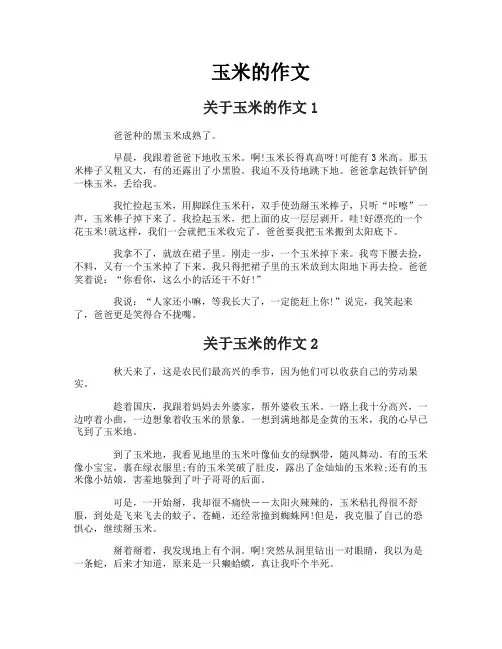 玉米的作文