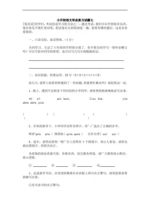 小学六年级小升初语文毕业复习试题【九】 优质试卷 