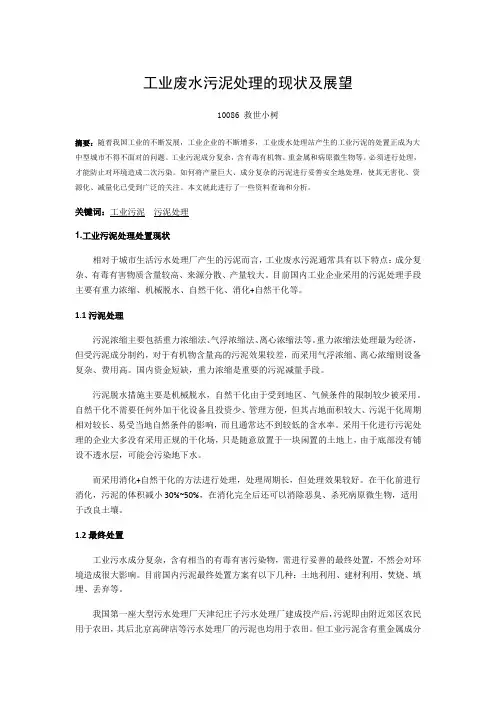 工业污泥的处理与处置