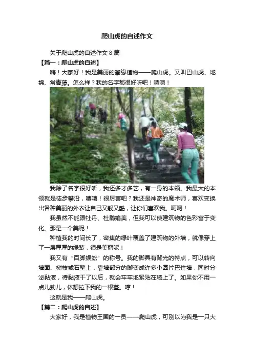 爬山虎的自述作文