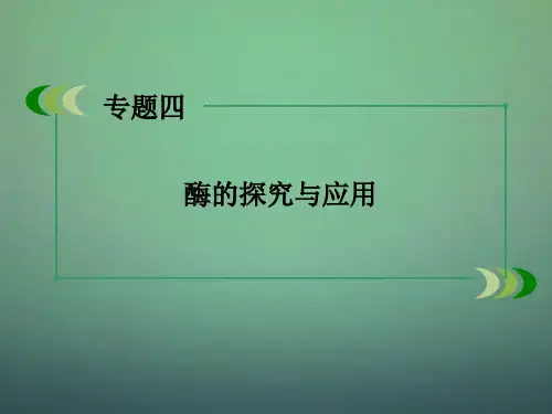 2015-2016高中生物 专题4 课题2 探讨加酶洗衣粉的洗涤效果课件 新人教版选修1