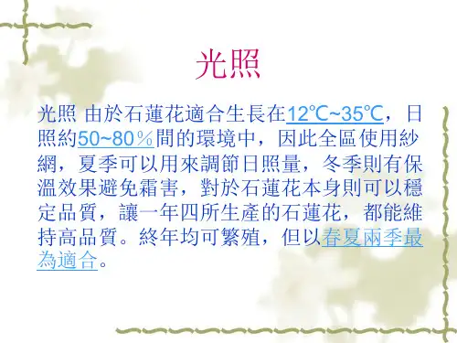 石莲花的介绍