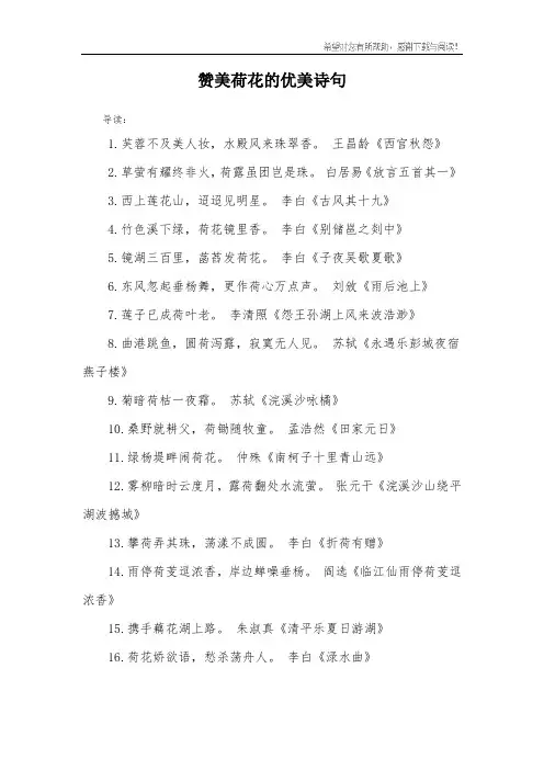 赞美荷花的优美诗句
