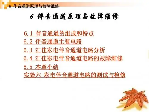 6 伴音通道原理与故障维修