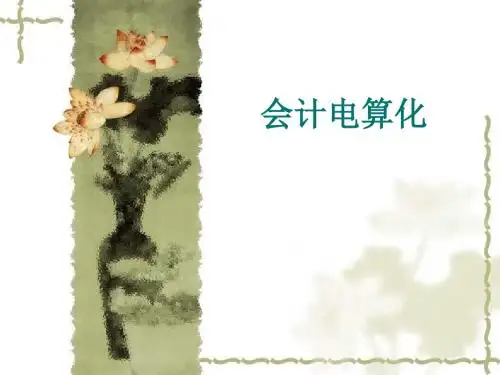会计电算化-知识点