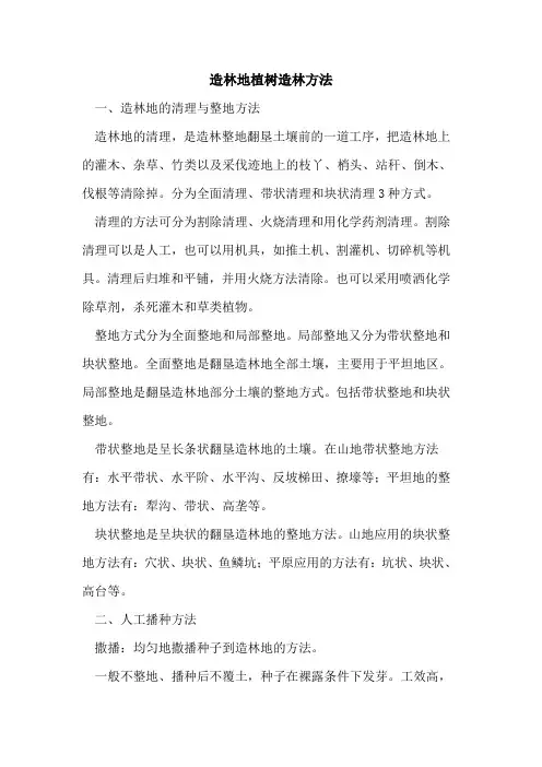 造林地植树造林方法