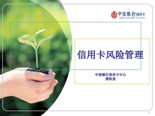 中信银行信用卡风险管理PPT精选文档