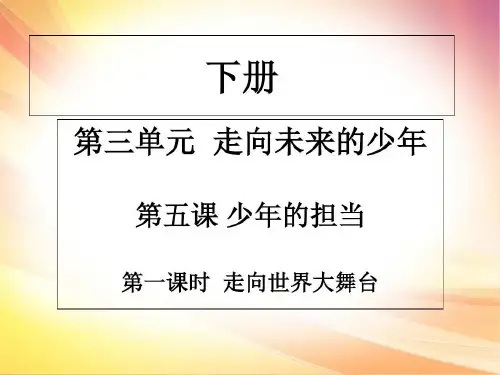 人教部编版九年级道德与法治下册课件：第五课 第一课时共21页
