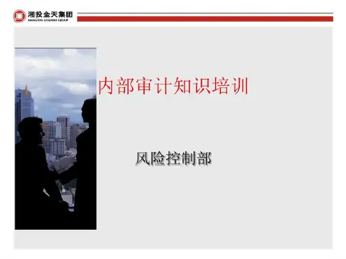 内部审计知识培训(PPT41张)